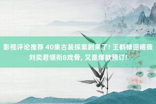 影视评论推荐 40集古装探案剧来了! 王鹤棣田曦薇刘奕君领衔8戏骨, 又是爆款预订!