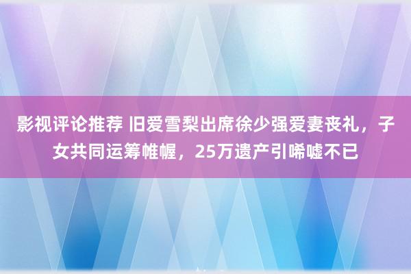 影视评论推荐 旧爱雪梨出席徐少强爱妻丧礼，子女共同运筹帷幄，25万遗产引唏嘘不已