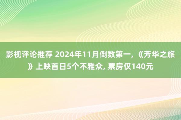 影视评论推荐 2024年11月倒数第一, 《芳华之旅》上映首日5个不雅众, 票房仅140元