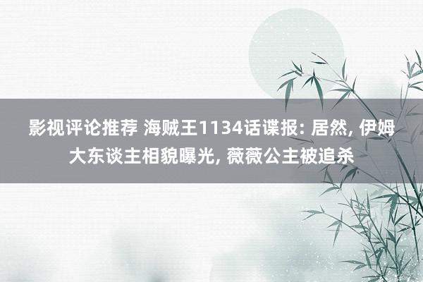 影视评论推荐 海贼王1134话谍报: 居然, 伊姆大东谈主相貌曝光, 薇薇公主被追杀