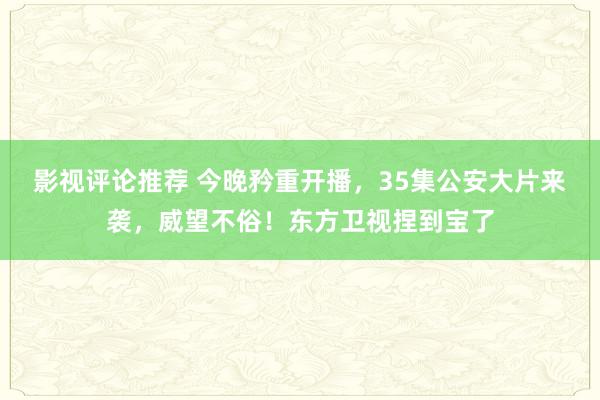 影视评论推荐 今晚矜重开播，35集公安大片来袭，威望不俗！东方卫视捏到宝了