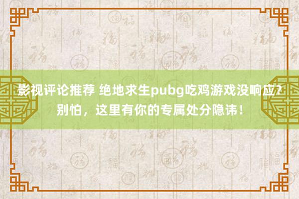 影视评论推荐 绝地求生pubg吃鸡游戏没响应？别怕，这里有你的专属处分隐讳！